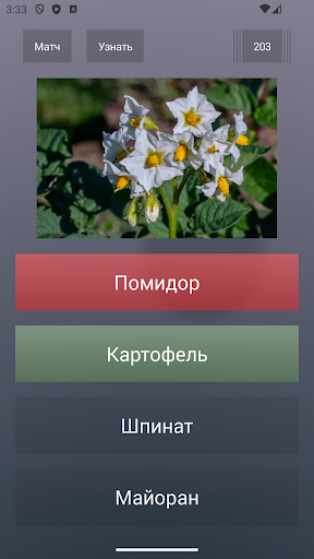 Викторина на эрудицию